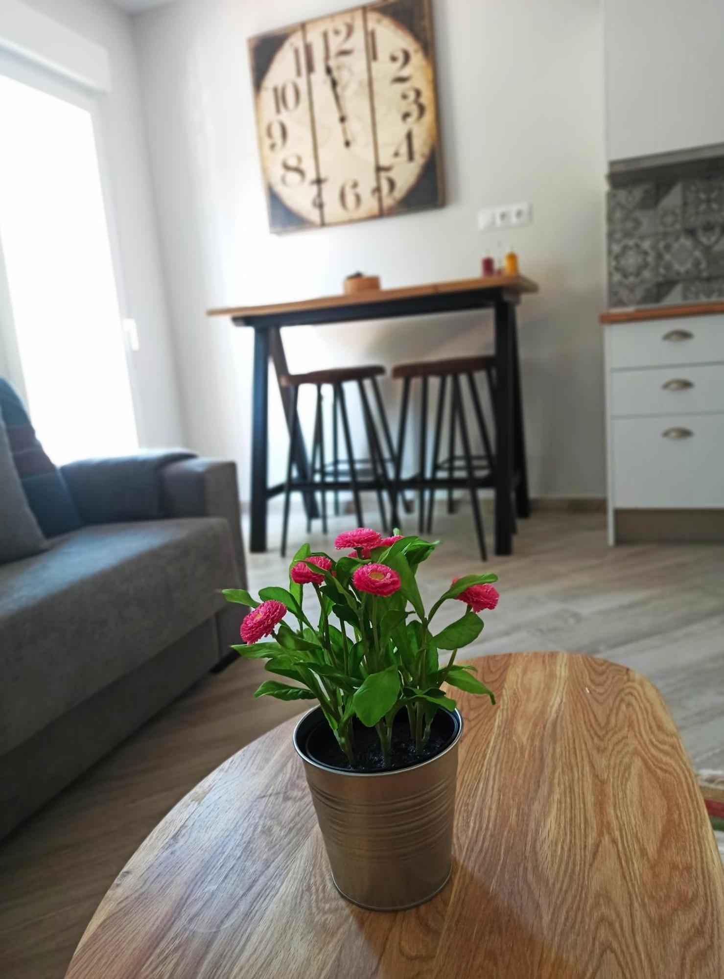 Barcelo 21, Parking On Request, Atico With Terrace & Studio With Patio, Center, Breakfast Included, Quite Neighborhood, Bc Málaga Rum bild